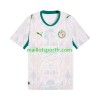 Maillot de Foot Sénégal Domicile 2026 2027